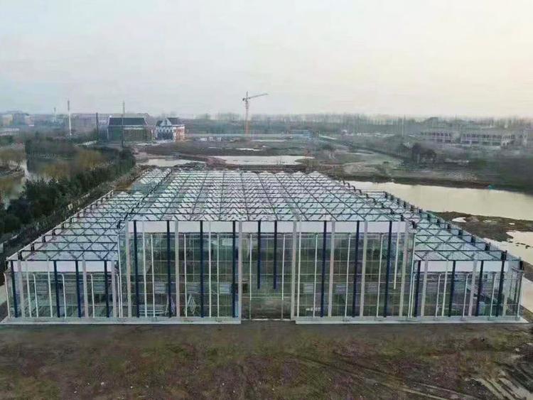 农业温室大棚 农业温室大棚建设 承建农业温室大棚