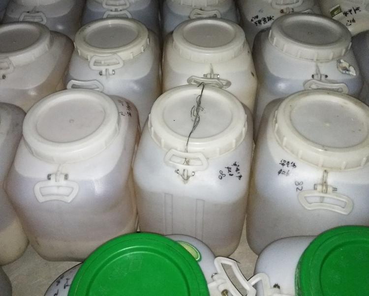 高酶值蜂蜜刺槐蜜批发预售 成熟蜂蜜 ##代工贴牌
