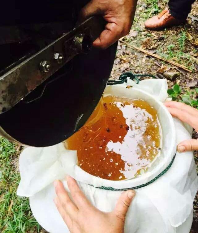 高酶值蜂蜜刺槐蜜批发预售 成熟蜂蜜 青州方养蜂合作社直供