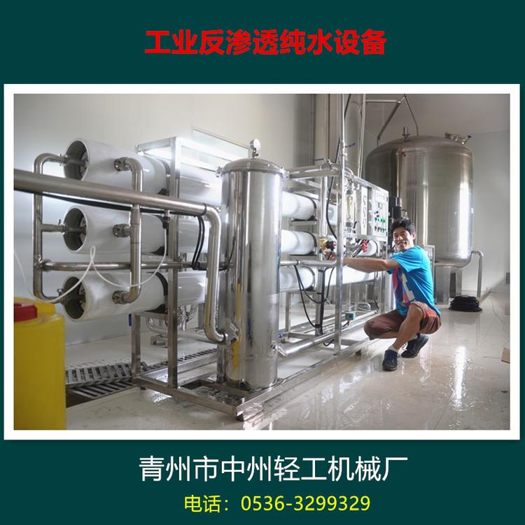 RO纯水反渗透设备 青州纯净水设备厂家 中州恒信反渗透水处理设备价格
