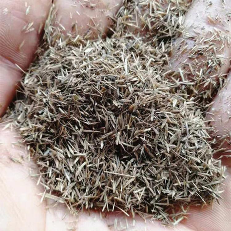 浩菲销售 粉黛乱子草种子 株高可达30-90cm 适宜观赏