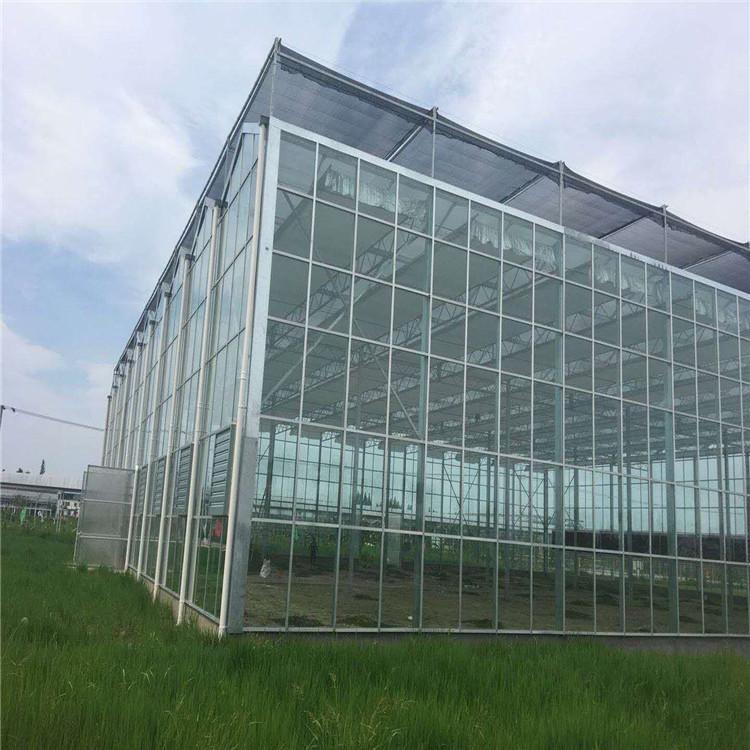 玻璃温室造价 玻璃温室承建 鸿川温室