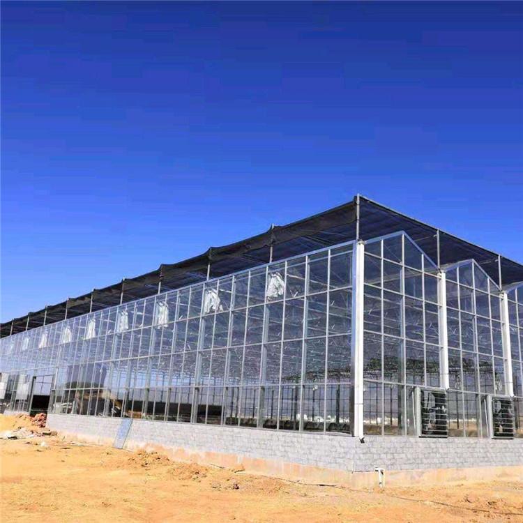 智能温室造价 智能温室承建 鸿川温室
