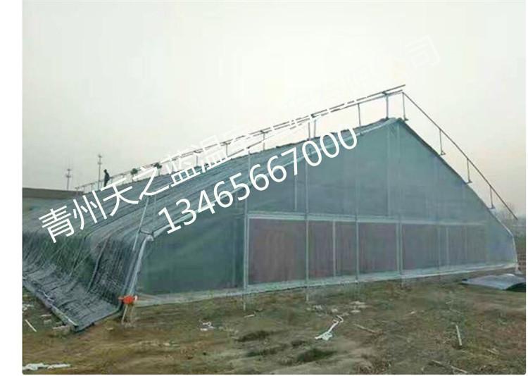 日光温室建造 西红柿温室大棚建造 蔬菜温室造价
