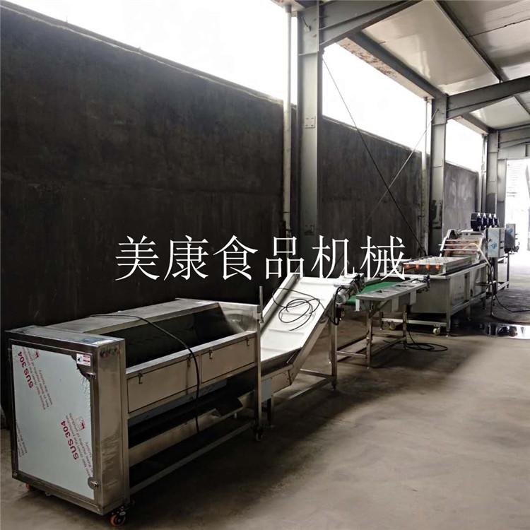中央厨房净菜加工设备 商用型白菜挑选清洗流水线 涡流清洗机