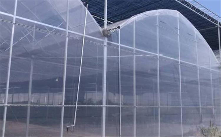青州防止热量流失连栋薄膜温室公司 连栋薄膜温室建造公司