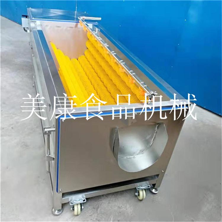 小型白茅根清洗设备 中草药清洗机 根茎类作物去皮清洗机器 厂家直销土豆去皮清洗流水线