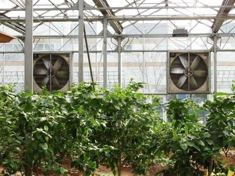 高品质大风量工业排风扇  尽在【山东多面体】 质优价廉