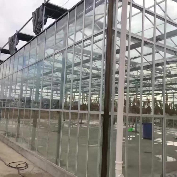 山东玻璃温室建设安装 玻璃大棚实景图 蔬菜大棚设计 金威温室
