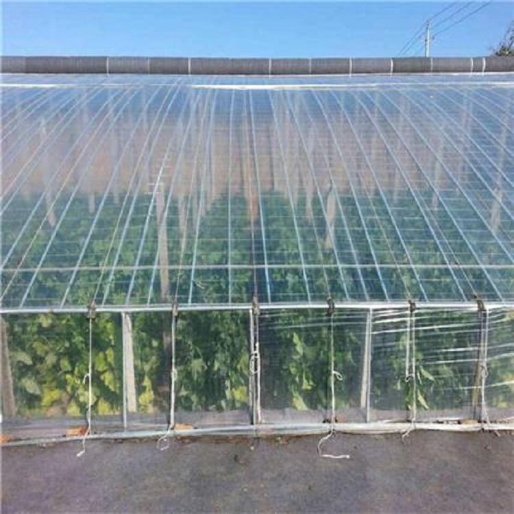 po膜批发定制 po农膜价格 透光好 大棚po膜