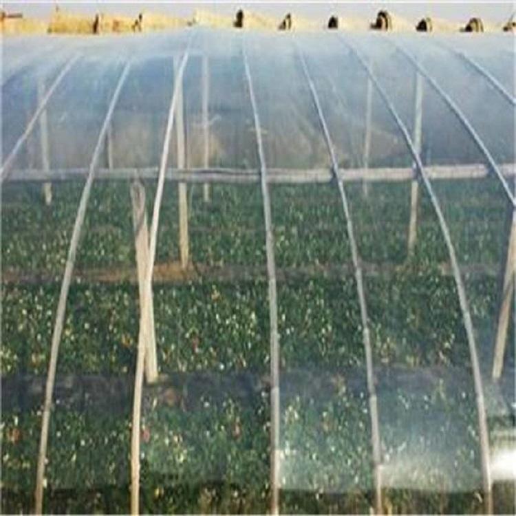 po农膜 厂家批发 青州大棚膜生产厂家 大棚po膜优惠 po农膜