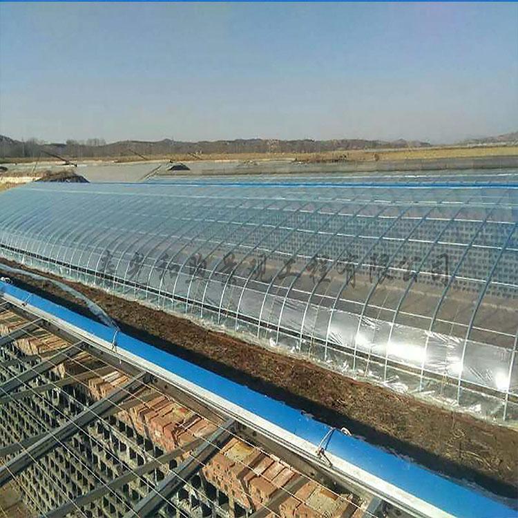 日光温室大棚 高温大棚 温室大棚设计建设