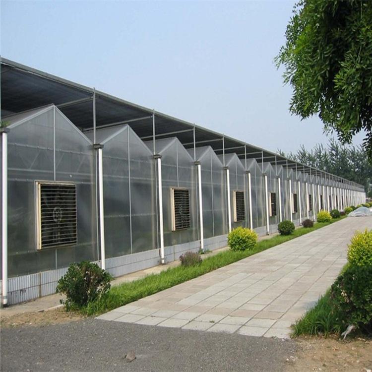 阳光板温室造价 阳光板温室建设