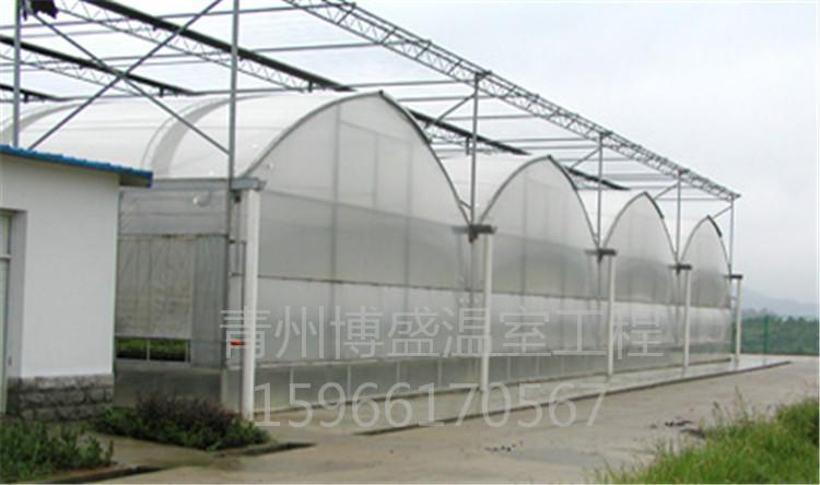连栋薄膜温室大棚工程 果蔬种植大棚 安装建设 质量可靠