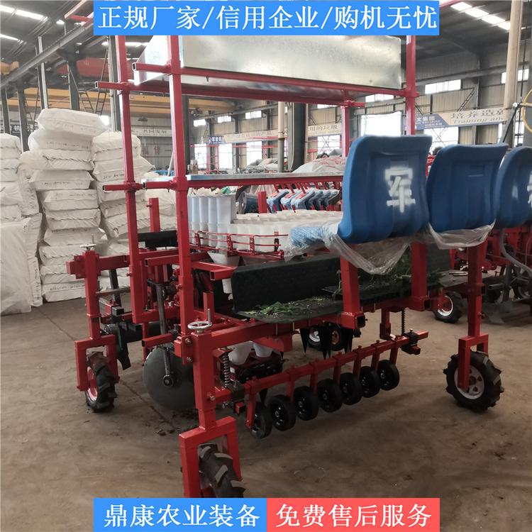 山东多行移栽机价格 厂家直销甜菜移栽机 多行移栽机价格
