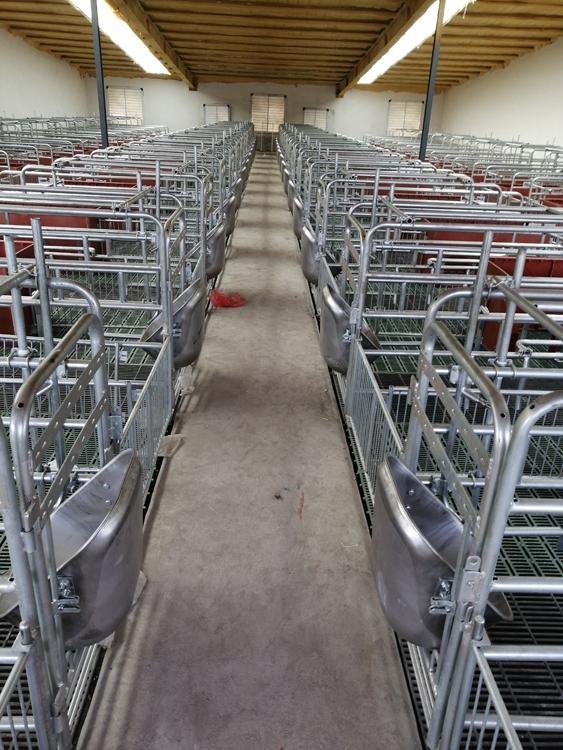 加工定制养猪产床价格养猪分娩床厂家养猪设备