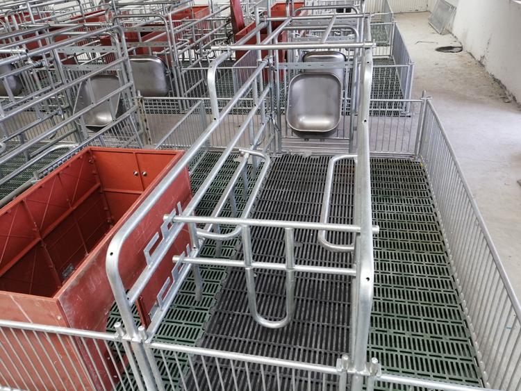 厂家定制养猪产床母猪分娩床厂家复合母猪产床