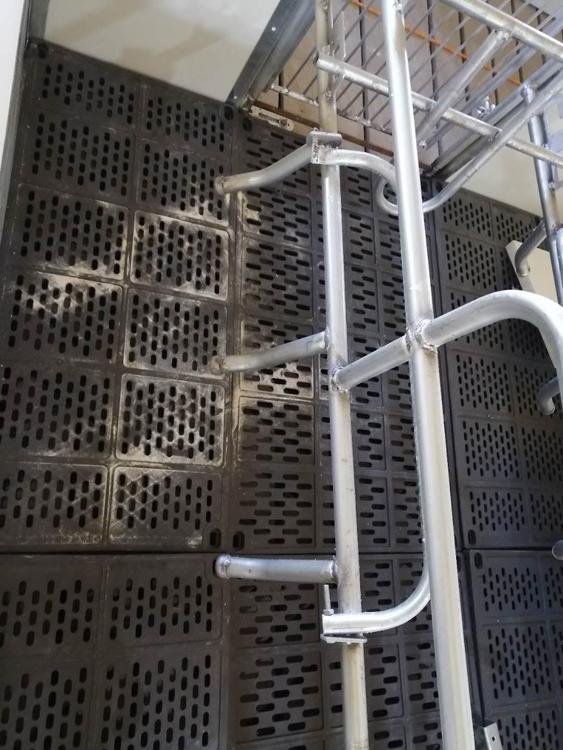 厂家定制母猪产床养猪产仔床厂家复合母猪产床