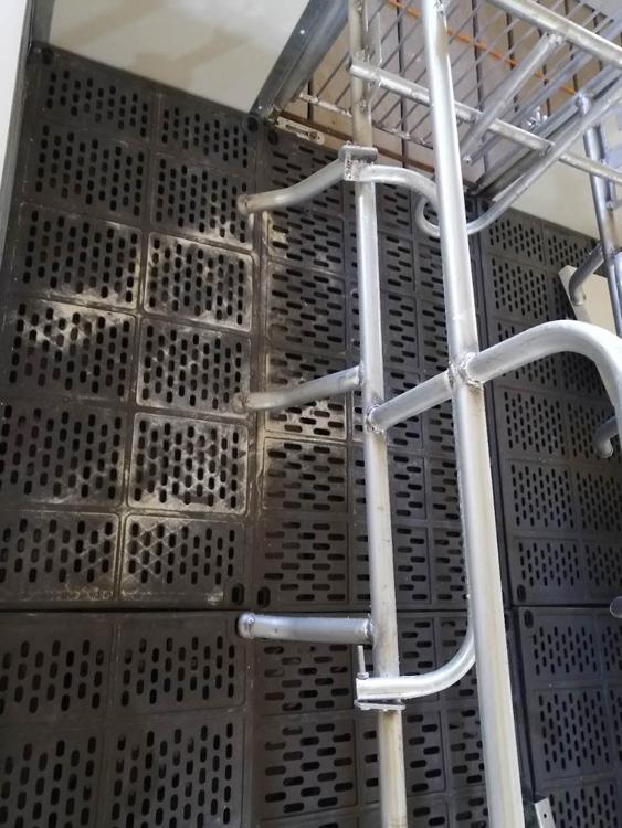 厂家定制母猪产仔床价格母猪分娩床厂家养猪设备