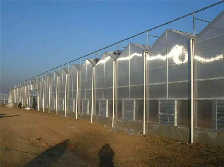 阳光板温室 pc阳光板大棚 博盛温室专业打造坚固耐用的大棚