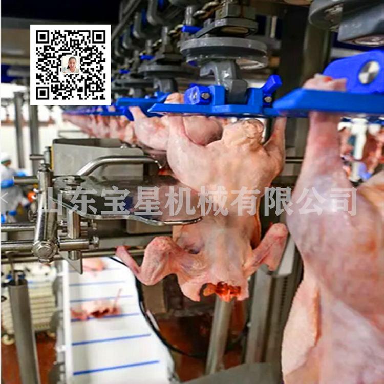 河南时杀1000只蛋鸡屠宰流水线 整套母鸡宰杀设备