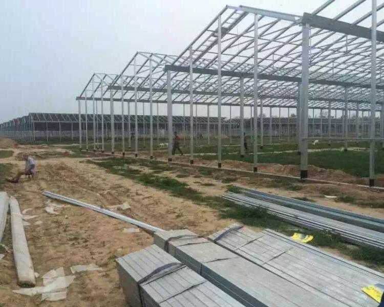 厂家生产建设日光温室大棚 草莓大棚 承建设计安装