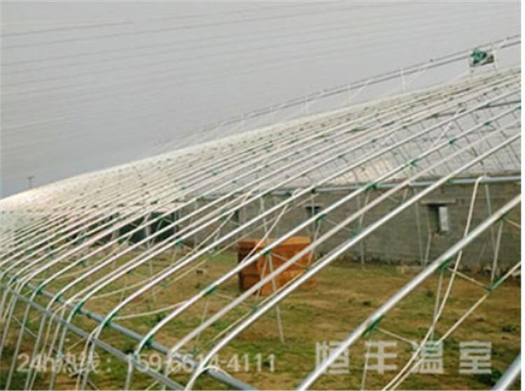 日光温室大棚阴阳棚蘑菇菌棚薄膜大棚蔬菜大棚建造厂家