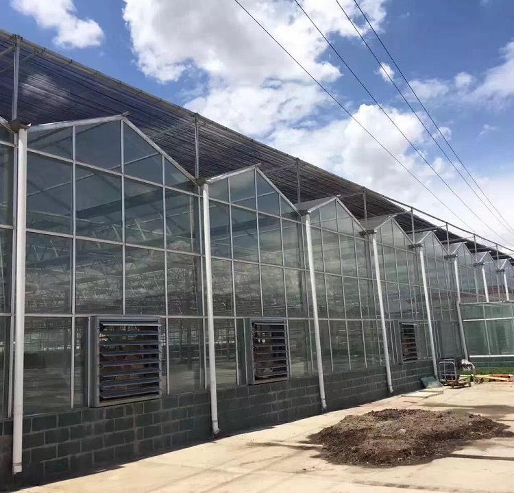 玻璃温室大棚建造商 温室大棚价格