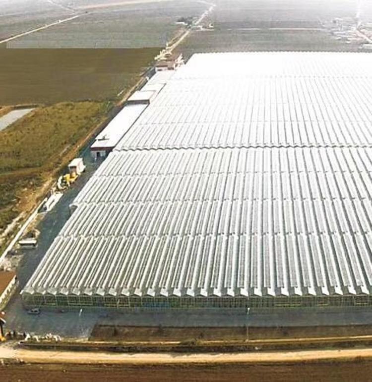 温室大棚建造商 连栋温室承建商