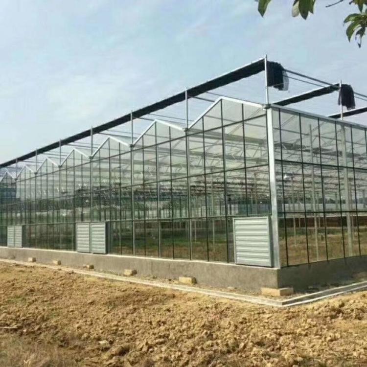 温室大棚价格 玻璃连栋温室大棚价格