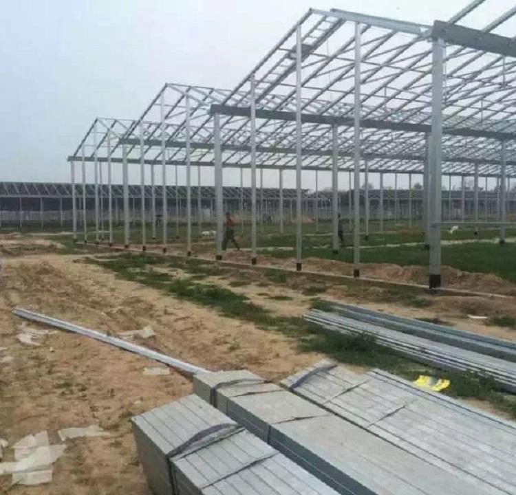 玻璃温室建造商 玻璃连栋温室大棚价格
