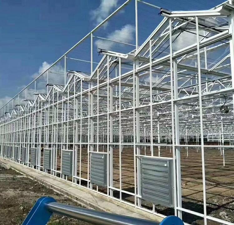 青州玻璃温室大棚 玻璃温室大棚建造 致电询价