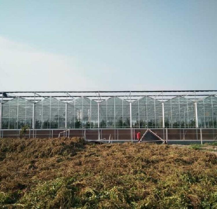 山东连栋温室大棚 连栋温室大棚工程 欢迎咨询