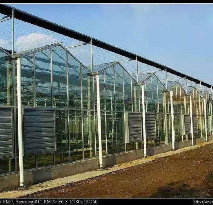 玻璃钢温室 连栋薄膜温室