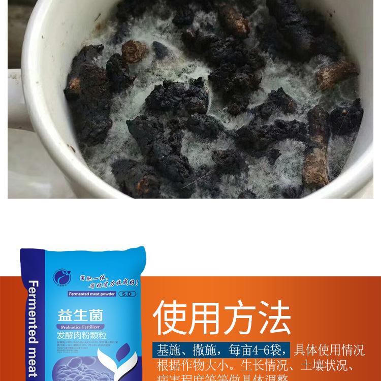 直供大棚蔬菜果树专用  肉粉颗粒有机肥 生产厂家  量大优惠