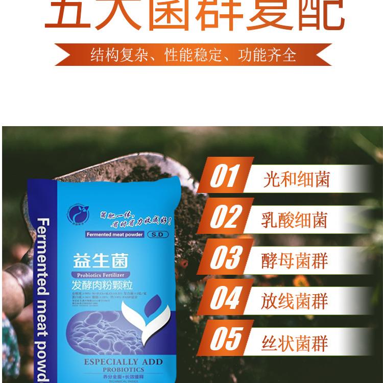 捷丰  柑橘苹果专用益生菌   山东发酵肉粉颗粒有机肥  现货批发