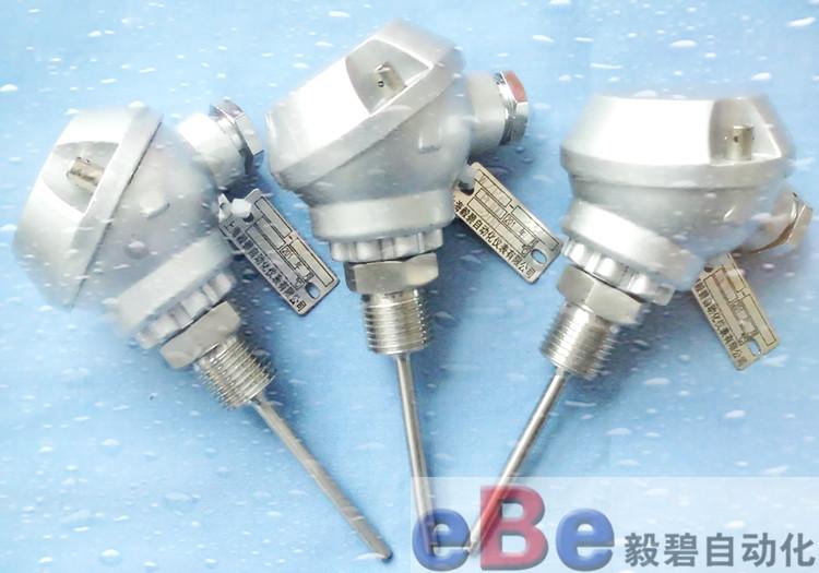 WRMK-331双支镍铬硅-镍铬热电偶 N型热电偶