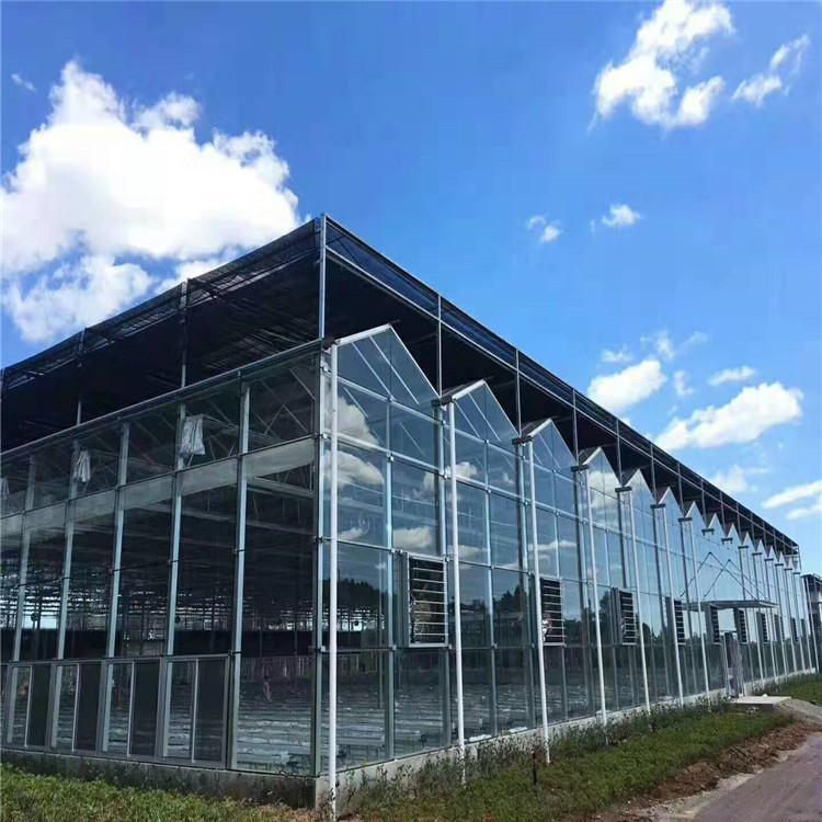 玻璃温室大棚承建 玻璃温室设计一体化 青州鸿川温室