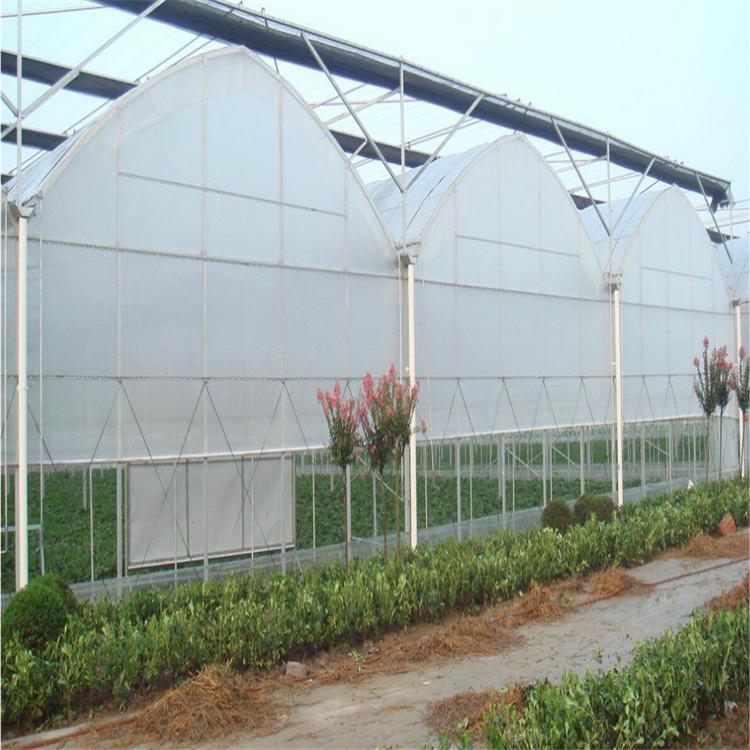 薄膜温室大棚建造 薄膜温室设计 山东薄膜温室工程