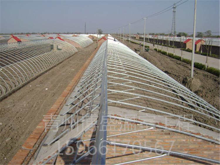 承建日光温室大棚  日光温室大棚建造 日光温室大棚建设