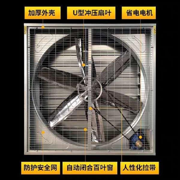 浙江温州畜牧降温风机价格行情