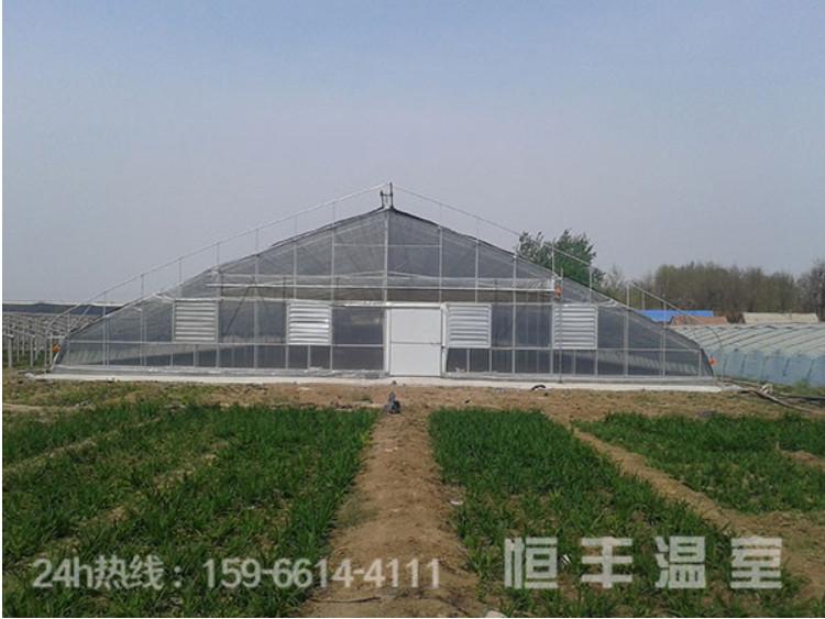 新式日光温室大棚 温室连栋日光大棚