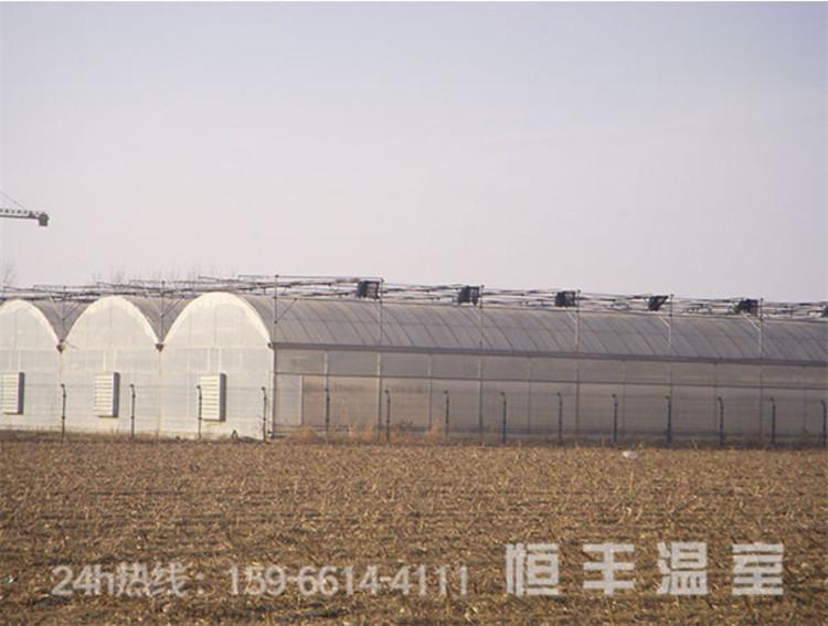 连栋薄膜温室价格建设 连栋大棚厂家