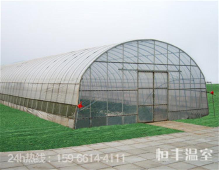 连栋薄膜温室大棚 桃形圆顶连体大棚 厂家批发