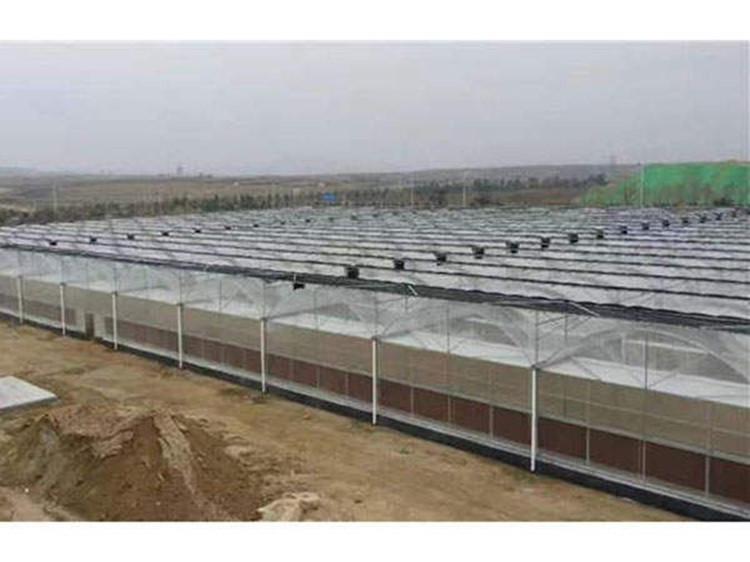 厂家直营多规格连栋薄膜日光温室大棚 承建