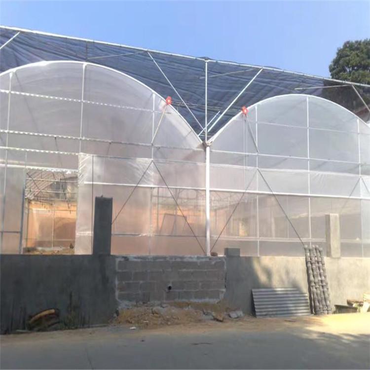 薄膜温室大棚 薄膜温室 山水合温室承建