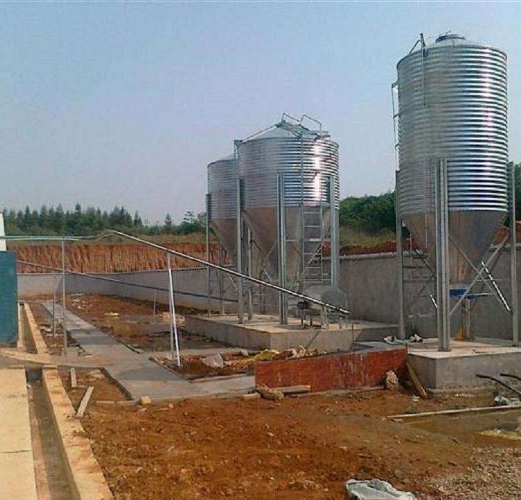 养殖料塔出售 养鸡料塔订购