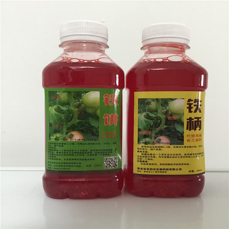厂家销售番茄果柄增粗膨大剂  番茄果柄增粗膨大剂氨基酸制剂