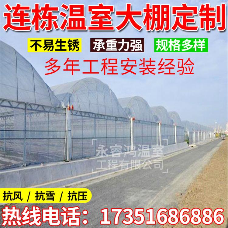 九江加固加厚抗压型 蔬菜大棚 花卉大棚 养殖大棚  外遮阳连栋大棚 连栋温室大棚 钢管大棚 玻璃温室大棚 热镀锌大棚钢管
