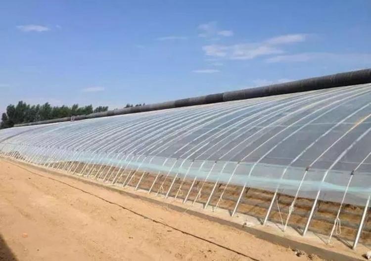 厂家直销日光温室大棚骨架  日光温室大棚加工定做